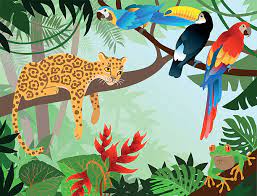 Les chansons d’animaux de la jungle amazonienne… et la pluie